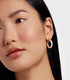 MARBLLA-Jewellery-Hoop Earrings- Ted Baker Romania